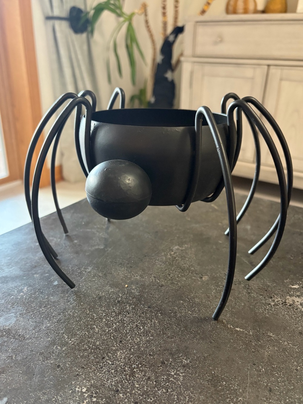 Black Metal Spider Planter - Contemporary Home Accent